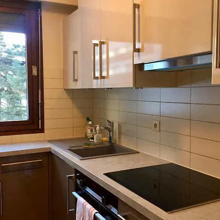 Apt With Balcony In Chamonix-Mont-Blanc * Chamonix